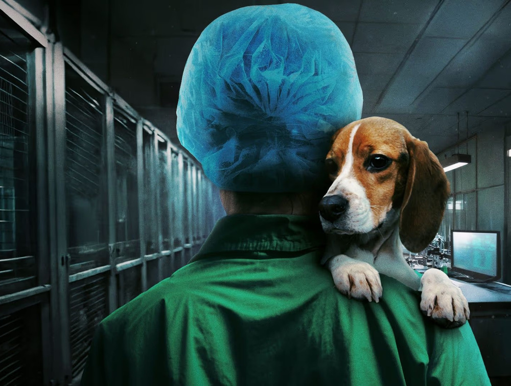 How an undercover activist exposed Spain’s darkest animal testing lab, and the global industry behind it